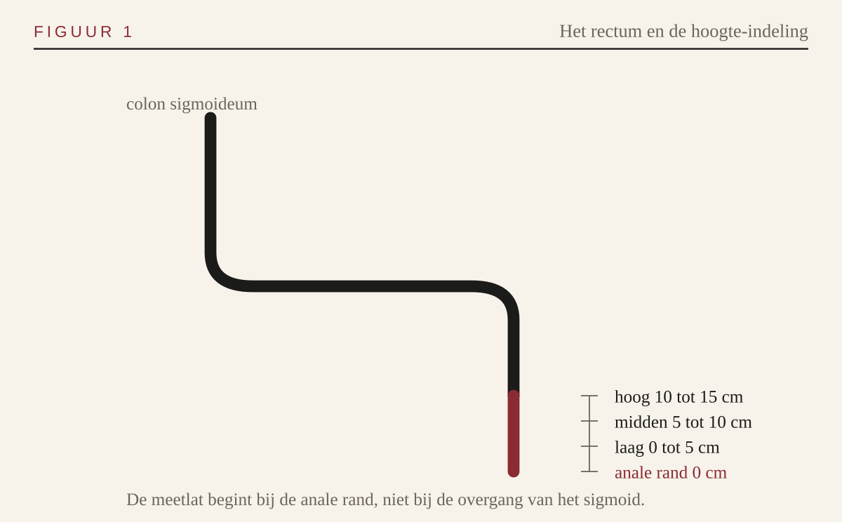 Schema van het rectum met de hoogte-indeling vanaf de anale rand